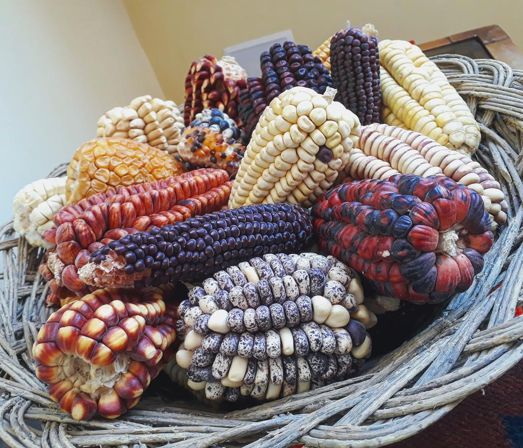 Yanuy Culinary Guest House كوسكو المظهر الخارجي الصورة